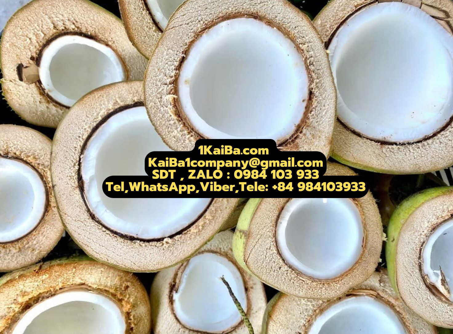 Máy Chặt Dừa của Nhà Máy KaiBa