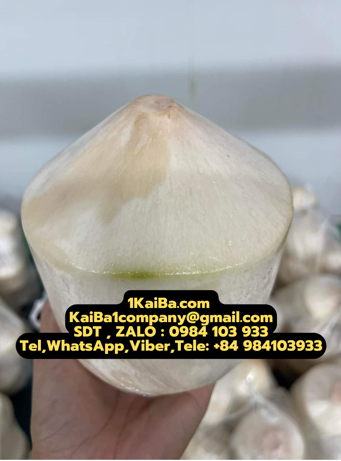 Máy Gọt Dừa Kim Cuơng