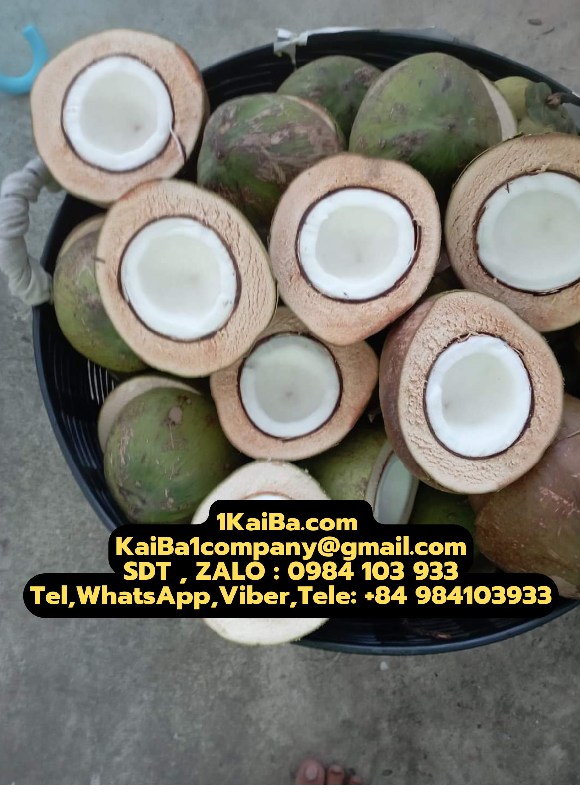 máy cắt dừa tươi