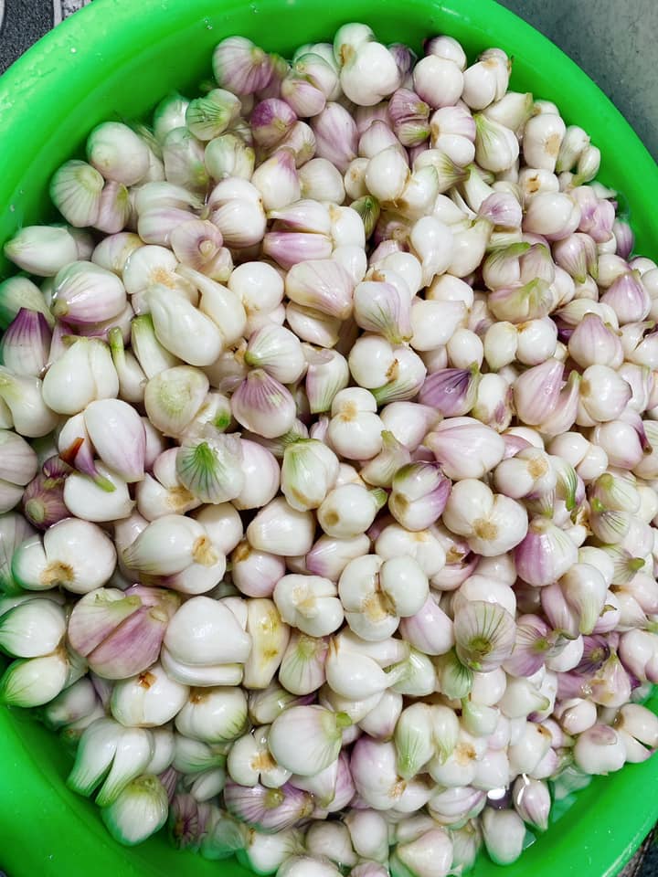 Máy bóc vỏ hành tỏi
