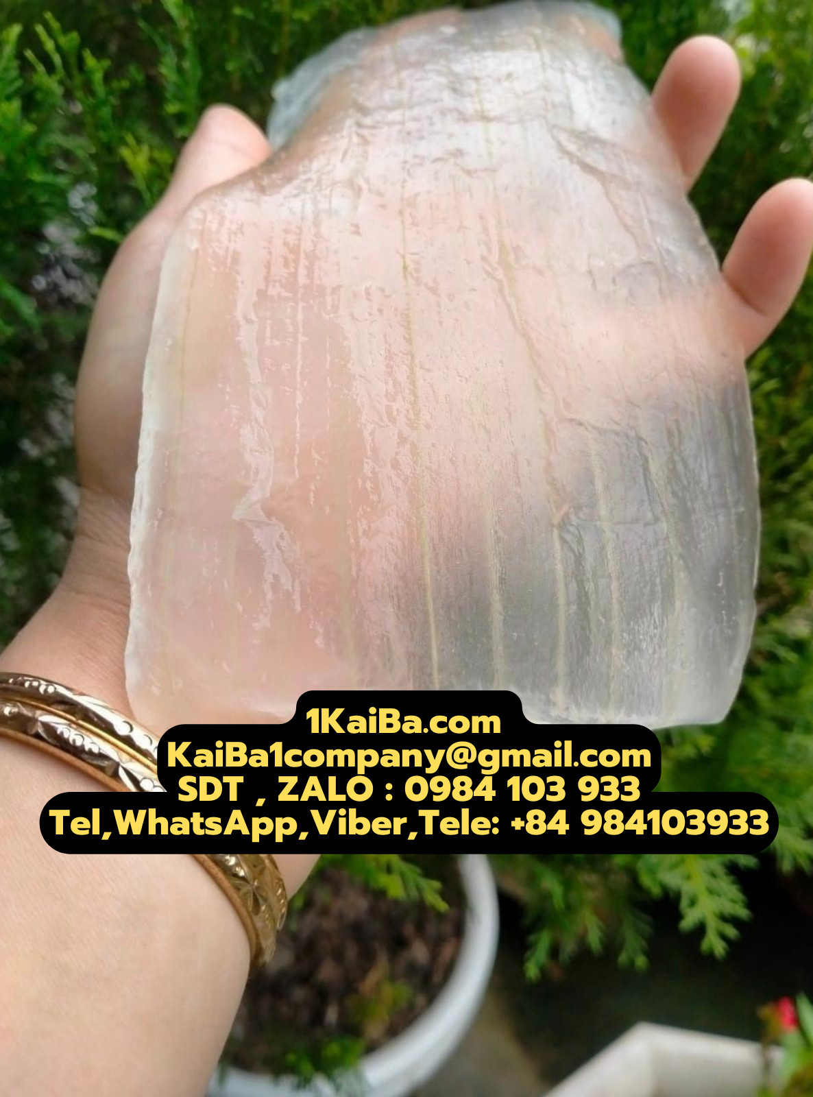 MÁY GỌT VỎ NHA ĐAM