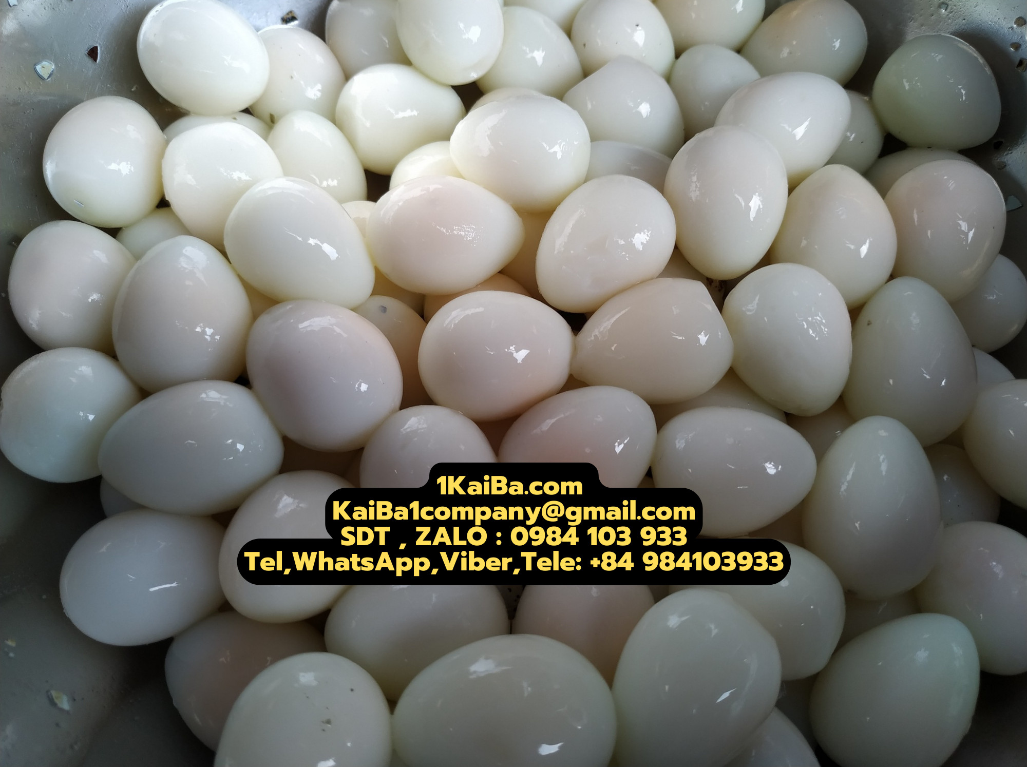 MÁY LỘT VỎ TRỨNG CÚT