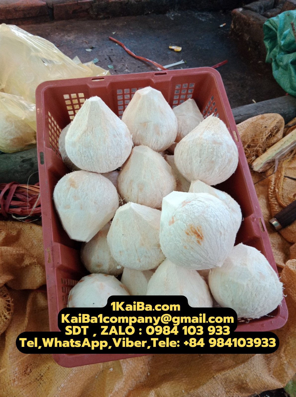 Máy Lột dừa trọc dừa tươi
