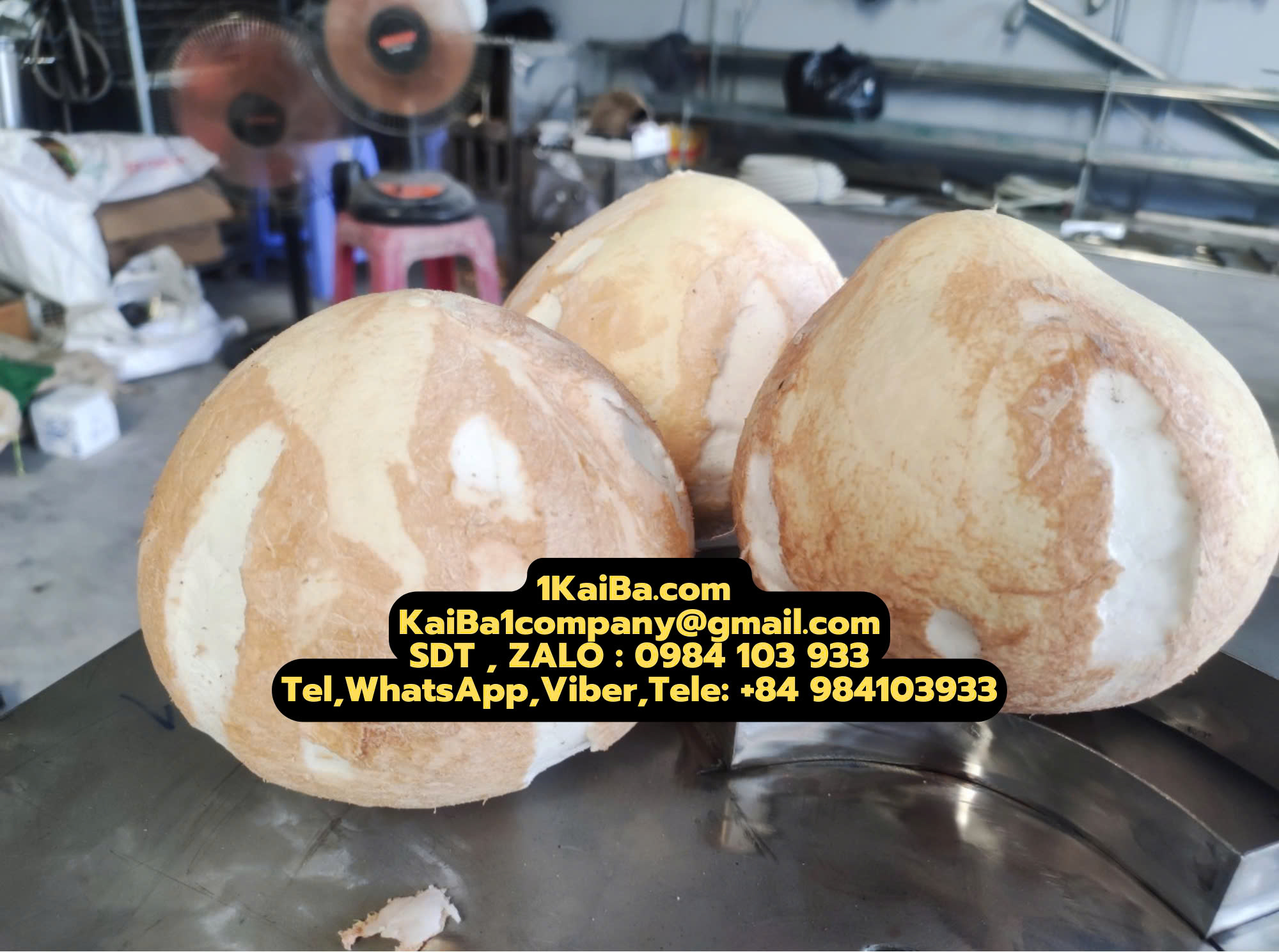 Máy Tách Gáo Dừa