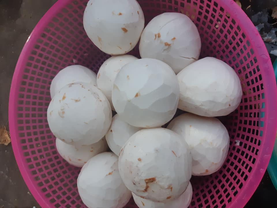 Máy Tách Gáo Dừa