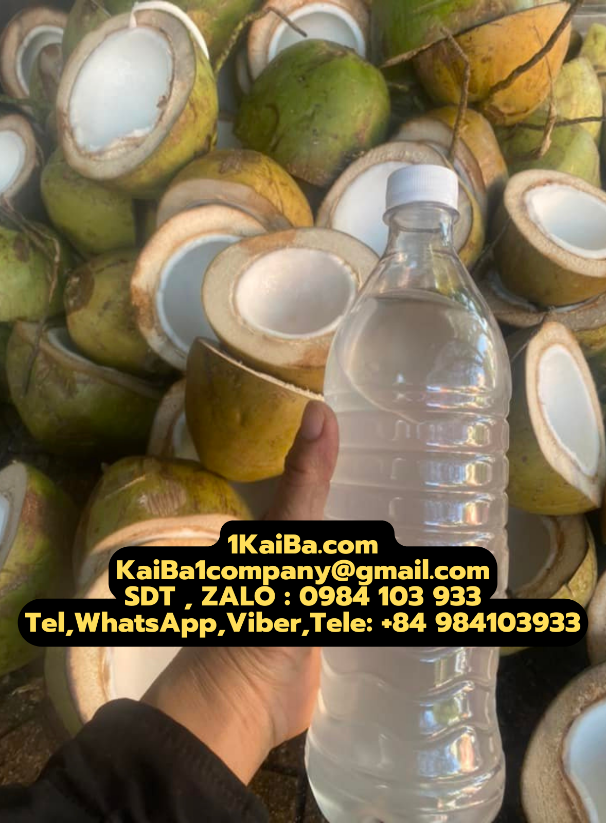 Máy Chặt Dừa KaiBa