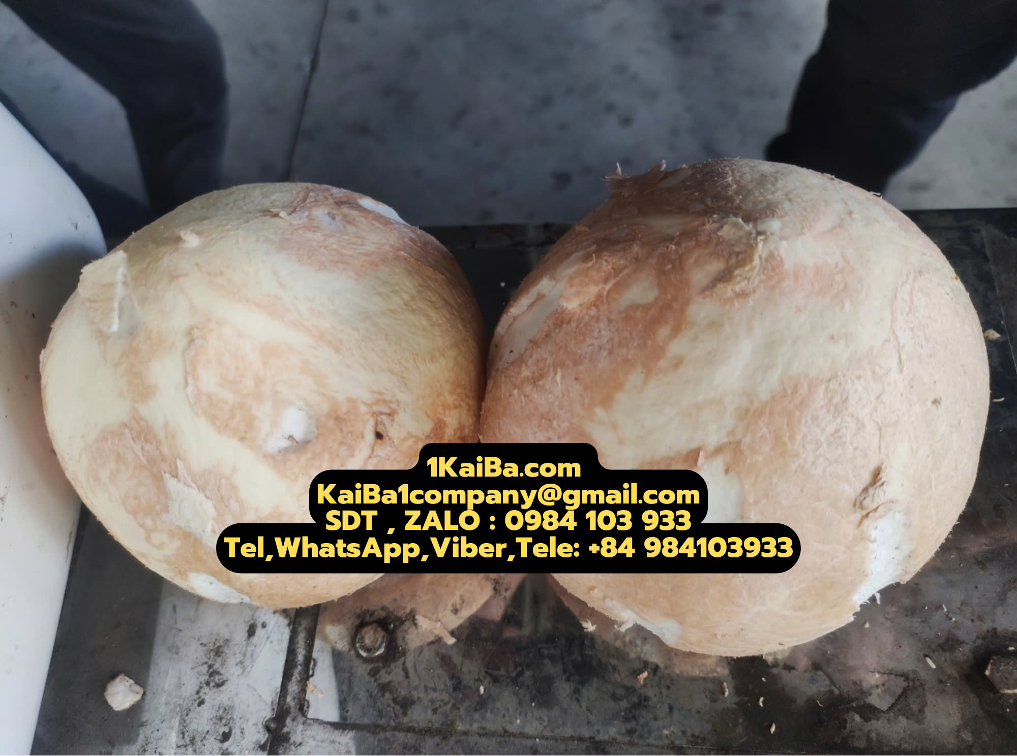 Máy Tách Gáo Dừa