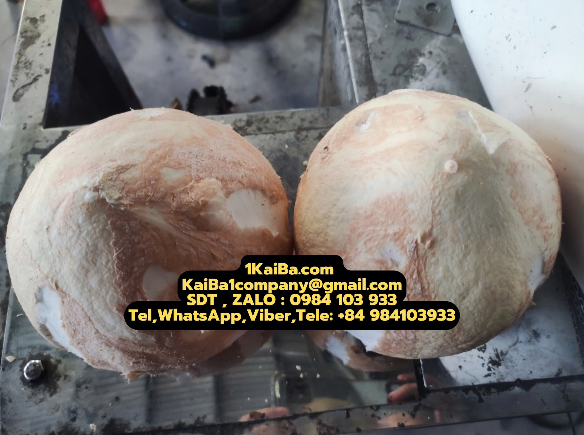 Máy Tách Gáo Dừa