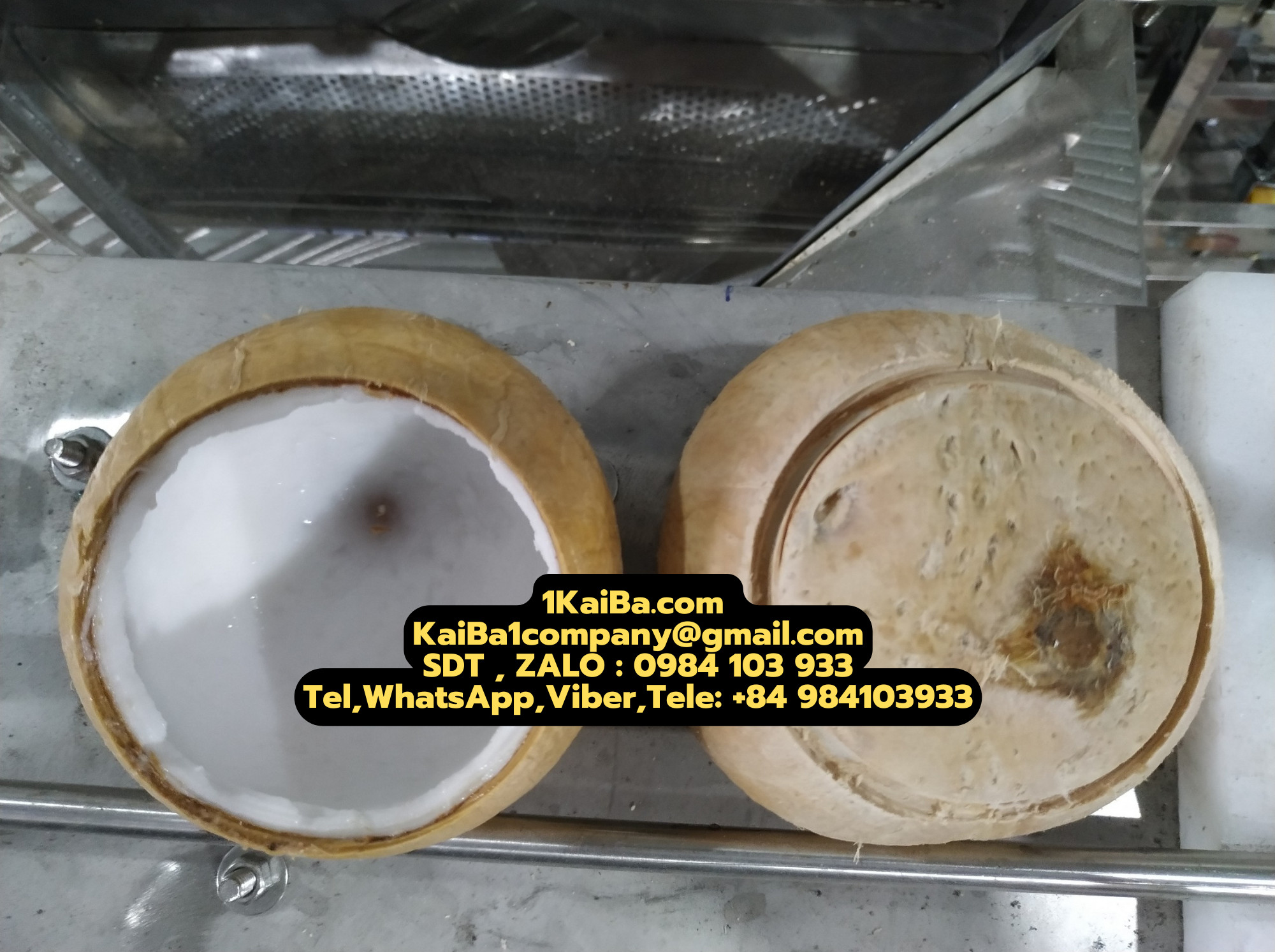 máy đục lỗ dừa