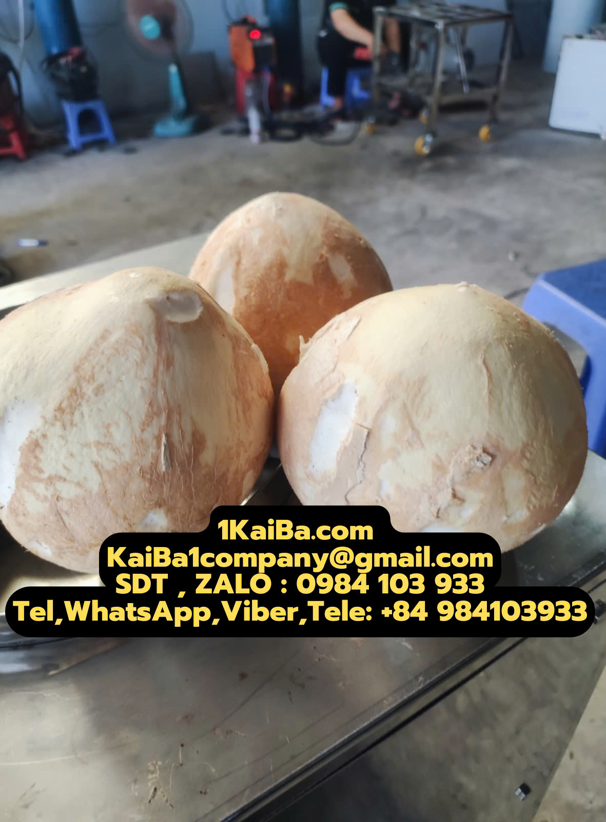 máy tách gáo dừa